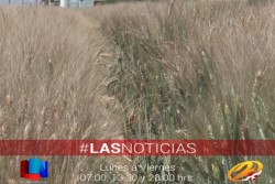 Se acompañará a los productores