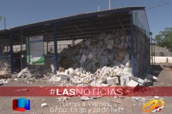 Piden no tirar envases de plaguicidas