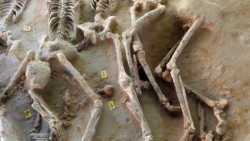 Descubren fosa común de miles de años en Grecia