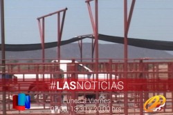 Avanza construcción de Centro de Mejoramiento Genético