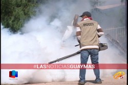 Fumigan todo Guaymas