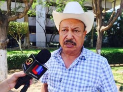 Sinaloa será sede regional para analizar caso del pulgón amarillo