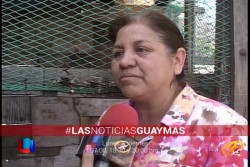 Afectada, denunciará la muerte de sus gallinas