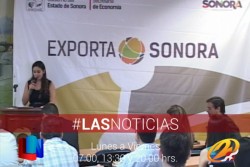 Buscan más empresas exportadoras
