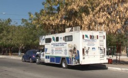 Unidad para esterilizar mascostas ya entró en funciones