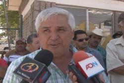 Nuevos requisitos para acceder a los apoyos para maiceros de mas de 20 hectáreas