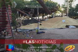 Asegura Policía trigo presuntamente robado