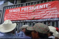 Amenazan productores con romper contratos con la industria si no pagan 3 mil 800 por el maiz