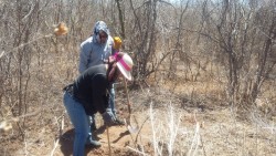 Mujeres rastreadoras encuentran cuerpo en Jahuara segundo