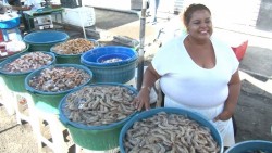 Comerciantes de camarón esperan repunte para el 10 de mayo