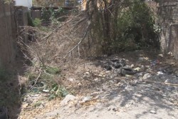 Solicitan que limpien lote baldio en la CNOP