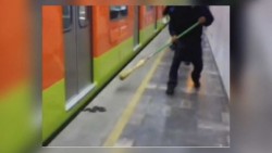 'Viaja' serpiente de cascabel en la Línea 12 del Metro