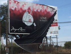 Investiga la PGJE destrucción de propaganda electoral de Quirino Ordáz
