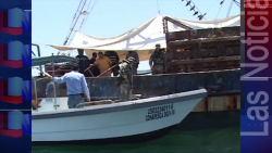 Canainpesca señala que solo el oficial de pesca realiza inspección en bocabarras