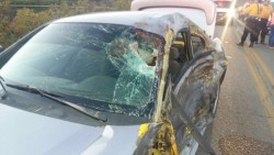 Muere en accidente voluntario de proteccion civil