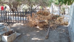 Se olvidan de limpiar el panteon municipal para el dia de las madres