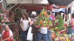 Bajan las ventas para los comerciantes de flores para este 10 de mayo