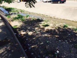 Piden rehabilitación del arroyo de Capistrano, losas socavadas representan peligro