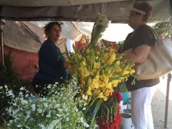 Reportan una venta regular de flores
