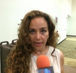 "El tema de la seguridad también se puede atender desde el congreso": Irma Tirado