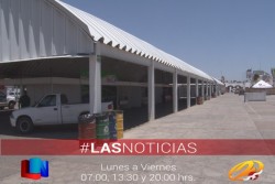 Participará ponguinguiola en Expo Obregón