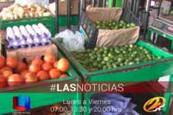 Disminuyó el precio del limón