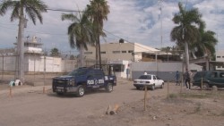 Encuentran 2 fusiles MP5, una granada y 12 armas cortas durante esculque en el penal de culiacán