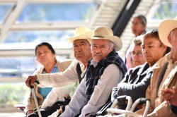 Plantean revisar sistema de pensiones ante crecimiento poblacional