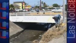 Refuerzan acciones de limpieza en arroyos