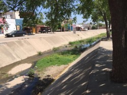 Llenos de basura, maleza y agua estancada lucen algunos canales