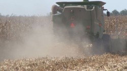 Bolsa de SAGARPA buscará proteger a los pequeños productores de maiz