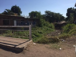 Denuncian falta de limpieza de arroyo, en Colonia Toledo