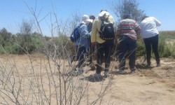 Rastreadoras recorren zona de El Estero de JJR