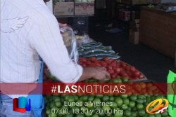 Se estabilizó precio del limón