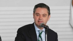 No procederán amparos de CNTE contra despidos
