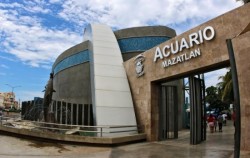 El tiburonario se estrena en diciembre: SECTUR.