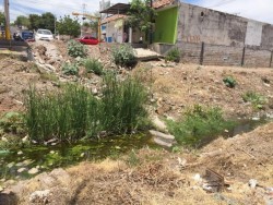 Canal sucio con agua estancada, basura y maleza en el Nuevo Culiacán