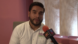 Los partidos políticos tienen dueño e intereses...El candidato Independiente, NO: David Torrentera