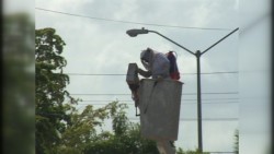 En alerta protección civil por ataques de abejas
