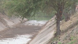 Limpio parte del arroyo del piojo