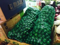 Baja el precio del Limón , de 50 a 25 pesos kilogramo