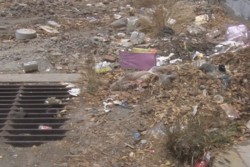 Calle Joaquín Berlanga convertida en tiradero de basura