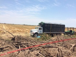Muere arrollado por su propio camion