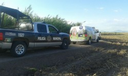 Encuentran 3 cadaveres en el poblado 7