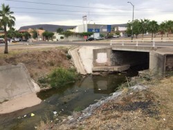 Arroyo del Agricultores con agua estancada y basura