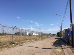 Olores fétidos y basura en la calle Macario Gaxiola