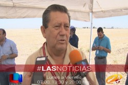 Deben  extremar cuidados por el calor