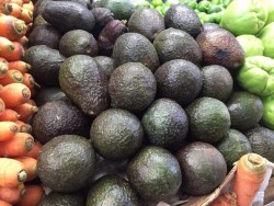 Sube el precio del aguacate.
