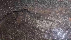 Se desperdicia agua limpia que emana del pavimento en la avenida Zaragoza.