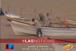 A laborar al campo